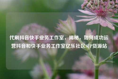 代刷抖音快手业务工作室，揭秘，如何成功运营抖音和快手业务工作室亿乐社区SUP货源站  第1张