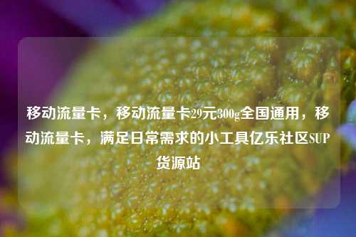移动流量卡，移动流量卡29元300g全国通用，移动流量卡，满足日常需求的小工具亿乐社区SUP货源站  第1张