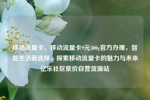 移动流量卡	，移动流量卡9元300g官方办理，智能生活新选择，探索移动流量卡的魅力与未来亿乐社区低价自营货源站  第1张